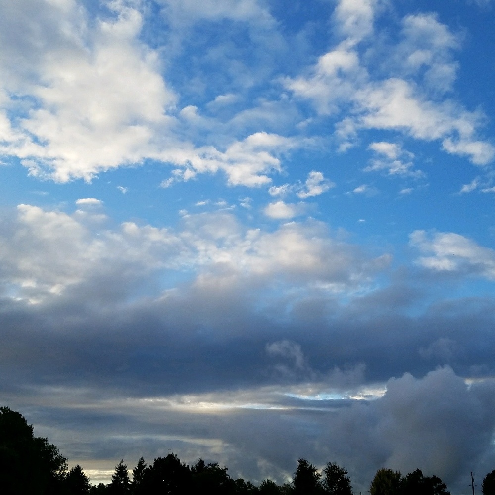 Meet your Posher, Ry